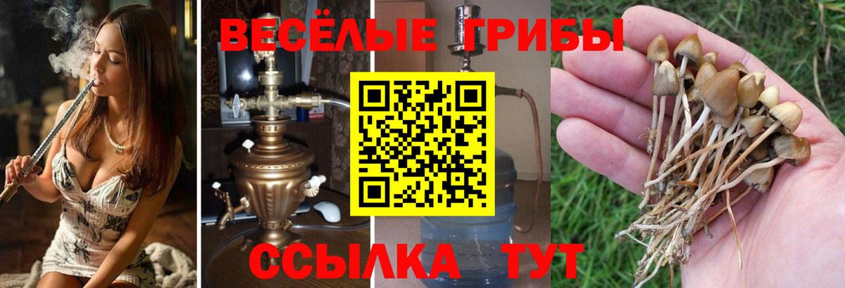 Галлюциногенные грибы GOLDEN TEACHER Павловский Посад