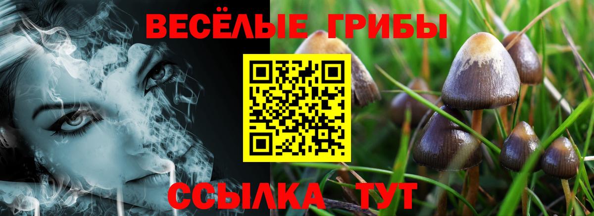 Псилоцибиновые грибы ЛСД  Псилоцибиновые грибы Magic Shrooms  Вход с VPN  Павловский Посад 